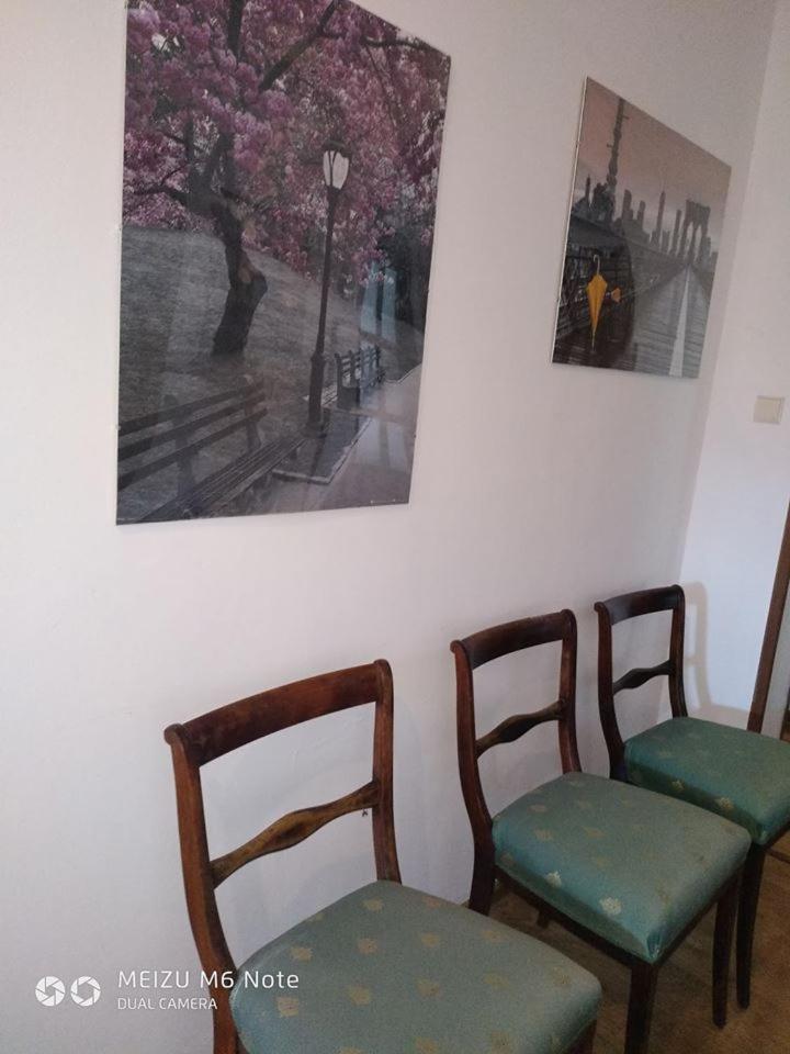 Bart House Gyvenimas sodyboje *